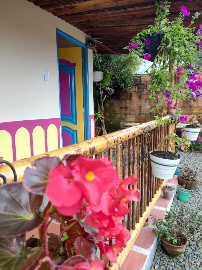 Hotel Hostal Casa Madrigal Filandia Exteriér fotografie